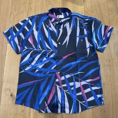 Item thumbnail for item 6e5d0619-1da6-48a3-8f74-f4d575a40b5e