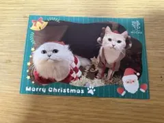 Item thumbnail for item 006faef2-f159-4bb1-91af-3f8324207803