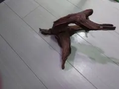 2025年最新】ホーンウッド adaの人気アイテム - メルカリ