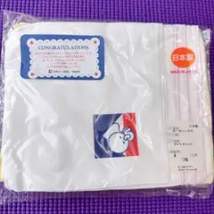 【新品未使用】赤ちゃんの城 ガーゼハンカチ 10枚セット 恵愛病院