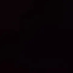 専用
