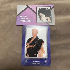 BLEACH ブリーチ　アニメイト　ジャンプフェア　2024 特典　カード　名刺