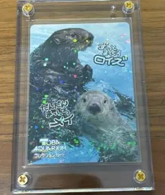 2026年最新】鳥羽水族館コレクションカードレアの人気アイテム - メルカリ