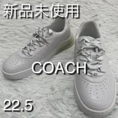 Item thumbnail for item cc2295e1-ab05-4c6b-9744-1dddc082107c