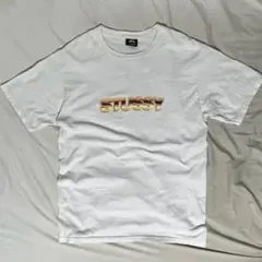 希少】old stussy tshirt 黒タグ短丈 cityboy - メルカリ