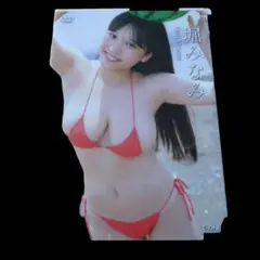新品未開封 堀みなみ