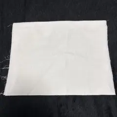 Item thumbnail for item 67ee6a76-fad2-4060-9440-23a52ff07249