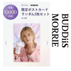 フォロー割 いいね割 BUDDiiS MORRIE Qurap ポストカード
