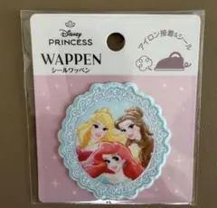Disney プリンセス アイロン接着ワッペン ワッペンシール