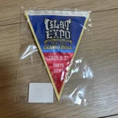 2026年最新】GLAY ガーランドの人気アイテム - メルカリ