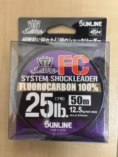 Item thumbnail for item 41a64889-e67e-4894-9e37-13872269737b