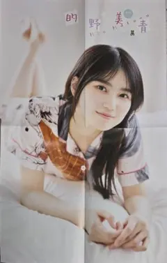 週刊少年チャンピオン付録 櫻坂46 的野美青 両面BIGポスター - メルカリ