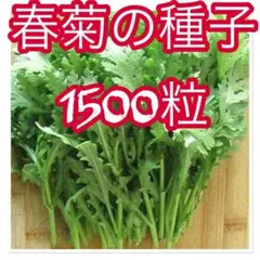 かわうそＢＢ様 リクエスト 3点 まとめ商品