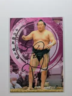 Item thumbnail for item 2b805a7d-750f-40cf-8cfb-ad7e7ad786b3