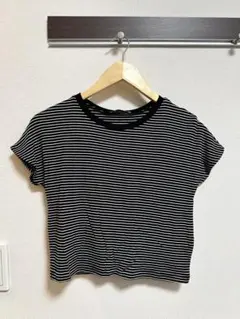 ZARA ザラ ボーダー ショート丈Tシャツ S