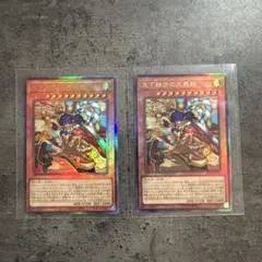 遊戯王 天下独歩の大義賊 レリーフとシークレットの2枚セット - メルカリ