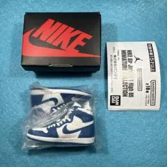 NIKE AIr Jordan ミニチュアコレクション -STORMBLUE