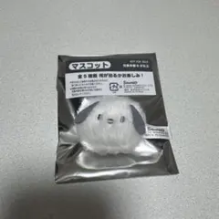 ポチャッコ　サンリオノベルティ　マスコット　非売品