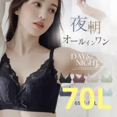 Item thumbnail for item 558778f3-c0de-457d-9f20-b021b7e9d2fd