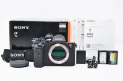 2026年最新】sony α7IIの人気アイテム - メルカリ