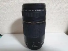 2026年最新】キャノン eos kiss x7 望遠レンズの人気アイテム - メルカリ