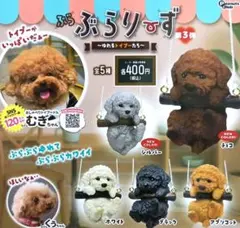 ☆しおこんぶ様 専用出品☆