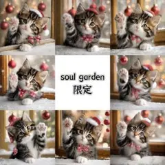 soul garden 251209b