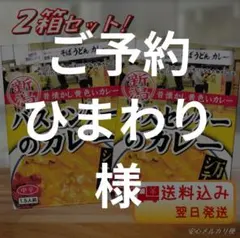 【新潟】バスセンターのカレー 2箱セット☘️ 1/2