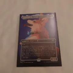 溌剌の牧羊犬、フィリア ボーダーレス