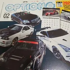 OPTION 02月号 2025年 特別付録付き