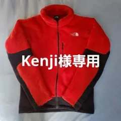 THE NORTH FACE SUMMIT SERIES ポーラテック フリース