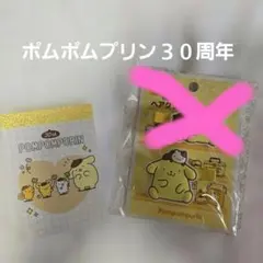 サンリオ新発売✨ポムポムプリン３０周年ヘアクリップ&ミニメモ帖✨