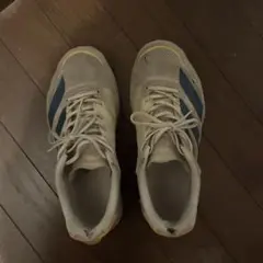 Item thumbnail for item 0927de37-f1d0-4425-a830-fae41696a73f