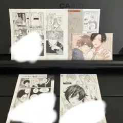 bl 特典ペーパー　まとめ売り
