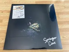 2026年最新】yogee new waves レコードの人気アイテム - メルカリ