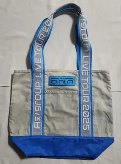 Aぇ！group　トートバッグ　ツアーバッグ　D.N.A　末澤誠也　佐野晶哉