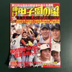 Item thumbnail for item 5e918a6a-c4fa-4152-9472-df4abab77931