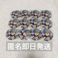 あんスタ 瀬名泉 丸型 アート 缶バッジ 12点