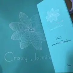 クレイジージャスミン No.1 Jasmine Sambac - メルカリ