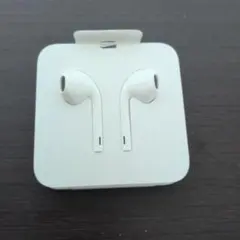 Apple EarPods with Lightning Connector