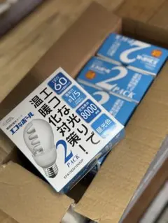 エコなボール 電球