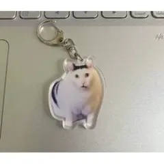 Item thumbnail for item 3e01a1c0-9880-452f-8326-636ac93a2ebc