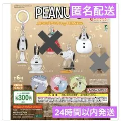 スヌーピー めじるしアクセサリー　4種セット ②