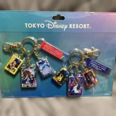 東京ディズニーリゾート イマジニングザマジック キーチェーン　蜷川実花　実写