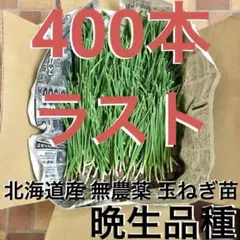 種籾 消毒済 芽出し済 コシヒカリ15kg 種籾 消毒済 芽出し済 コシヒカリ15kg - メルカリ
