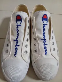 Item thumbnail for item b8ff2ea1-b619-40e3-88cc-0f24deb3e630