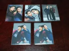 WILLIAM EST WE MAGNETIC FANCON 【WE】 トレカ