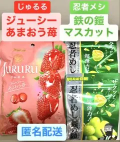 じゅるる JURURU あまおう 苺　忍者メシ　鉄の鎧　マスカット　新品