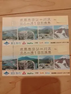 2026年最新】遊園地フリーパス スキー場1日引換券の人気アイテム