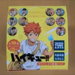 2026年最新】ハイキュー カラパレ より道の人気アイテム - メルカリ